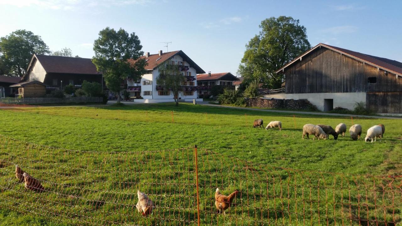 Woidhauserhof Waakirchen Dış mekan fotoğraf